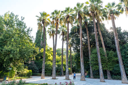 Asian woman with white fedora and blue tie-died t-shirt  standing by palm trees in National Gardens in Athens, Greeceの写真素材