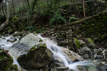 Riverの写真素材