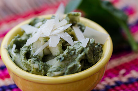 Pasta with spinach sauceの写真素材