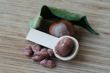 two nuts with cereals and a lemon leafの写真素材