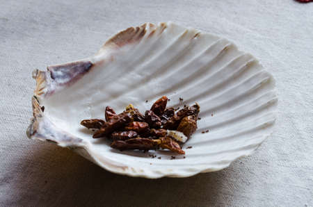 some dried chillies in a white shellの写真素材