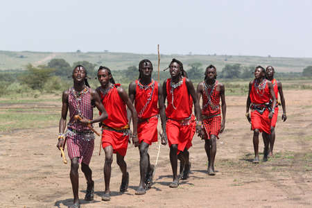 The Masai men welcome dance - Safari Kenyaのeditorial素材