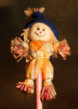 Micro Scarecrowの写真素材