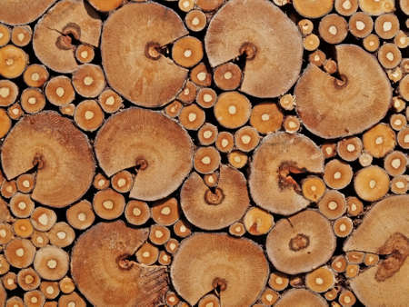 End faces of branches of trees are in one plane. It is a fragment of a back of a chair.の写真素材