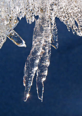 These crystals of ice are formed on a water surface.の写真素材