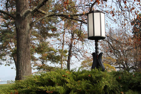 Lamp is mounted in a park in Geneva. The lamp is attached to blades in stand.の写真素材