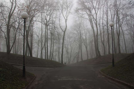 Fog creates the effect of mystery and fairy tales  Taken in the morning の写真素材