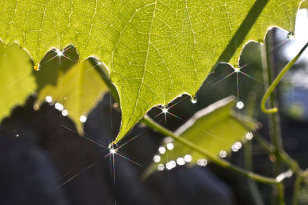 Image taken using the diffraction filter  の写真素材