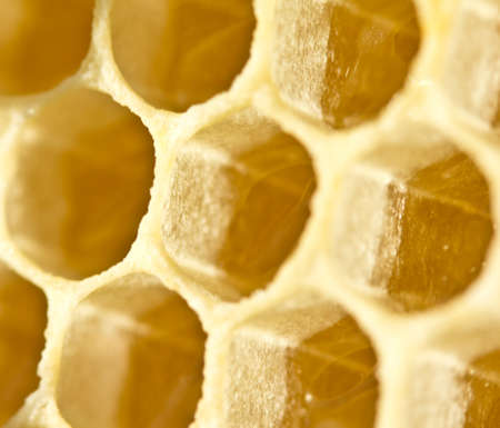 Created with wax honeycombs have the same dimensions and a strong focus.の写真素材