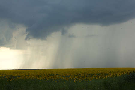 Under the influence of wind clouds move over the Earth.の写真素材