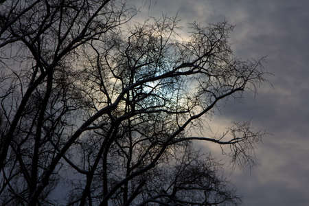 The sky at the end of winter At the end of winter, the sky takes on colors that herald the arrival...