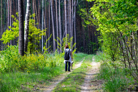The woman takes a walk in the woods. Walking in the forest is accompanied by positive emotions and improved health.の写真素材