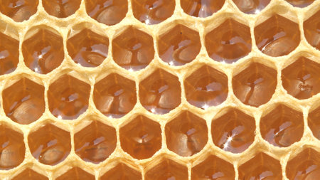 The most healing honey and pollen. Used in alternative medicine.の写真素材