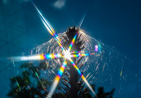 Observes diffraction and interference of light. The colors of the spectrum of sunlight are visible.の写真素材