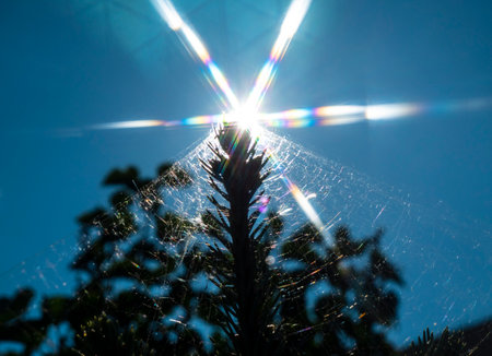 Observes diffraction and interference of light. The colors of the spectrum of sunlight are visible.の写真素材