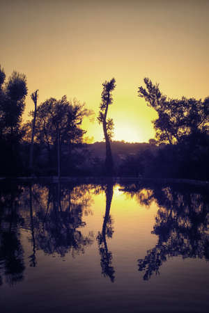 backlight at the lakeの写真素材