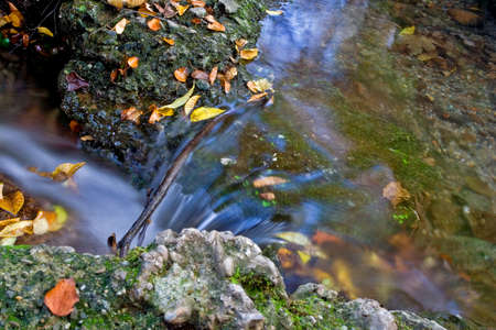 Stones with green moss and colorful autumn leaves in mountain river. Blurred water. Nature background. Autumn. Vintage toning. Close-upの写真素材
