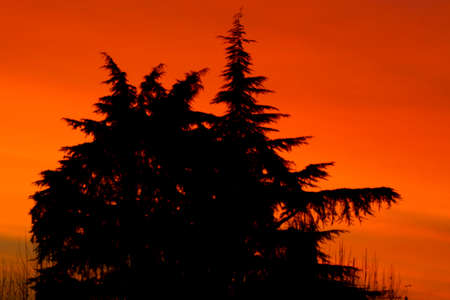 a wonderful red evening sky
