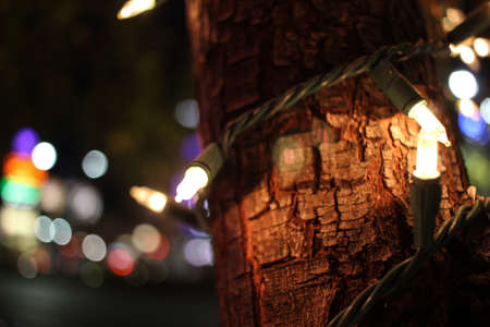 Closeup of coloured led around a treeの写真素材