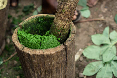 Isombe, a traditional African dish, prepared with cassava leaves, is being manually prepared in the traditional way. (Rwanda, Congo, Burundi)の写真素材