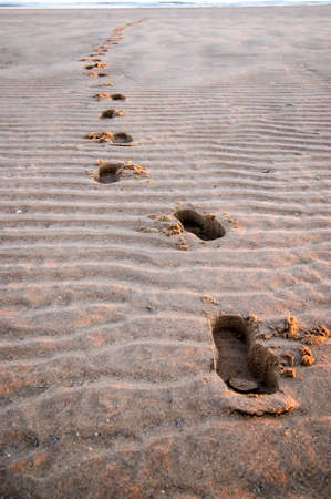 Brands grooved footprints on the beach at sunsetの写真素材