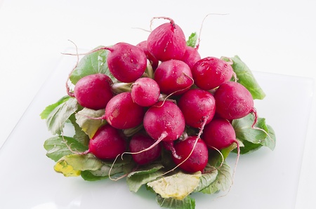 Bunch of fresh radishes isolated on a white backgroundの写真素材