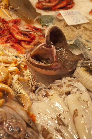 Close up of a fresh fish with its mouth open at a fishmonger stall in an indoor marketの写真素材