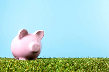 Pink piggy bank with grass and blue skyの写真素材