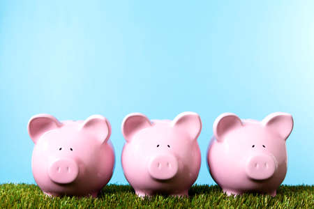 Three pink piggy banks on grass with blue sky.  Studio shot with plain blue background.  Space for copy.の写真素材