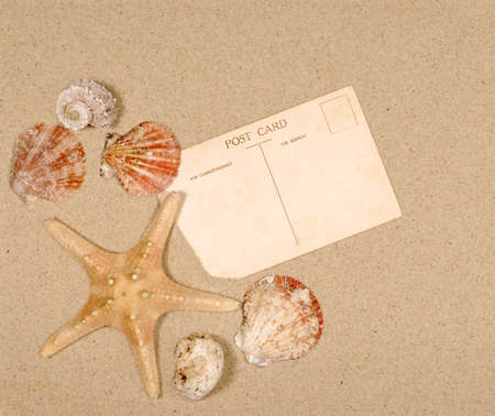 Seashore background with postcard seashells and starfishの写真素材