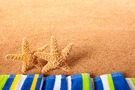 Summer beach starfish borderの写真素材