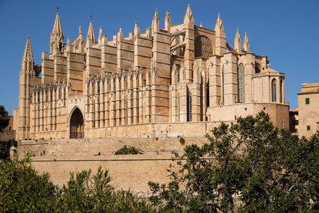 Palma de Mallorca, Spain - March 24, 2019 : side view of the famous gothic cathedral Santa Maria La Seuのeditorial素材