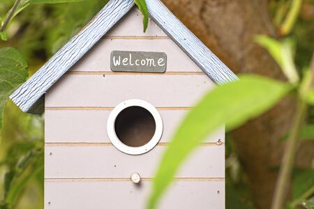 wooden bird house hang on treeの写真素材