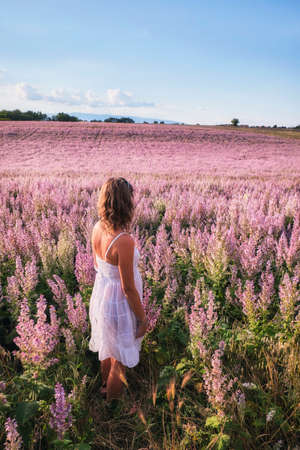 woman looking at field of flower in Valensole, Provence Franceの写真素材