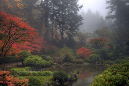 One foggy morning at the Portland Japanese Garden in the Fallの写真素材