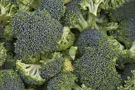 Chopped Broccoli Background Texture for Cooking or Healthy Foodsの写真素材