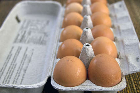 Dozen Organic Brown Eggs in Recycled Cartonの写真素材