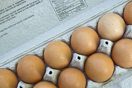 Dozen Organic Brown Eggs in Recycled Carton 3の写真素材