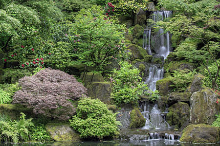 Cascading Waterfall at Portland Japanese Garden Oregonの写真素材