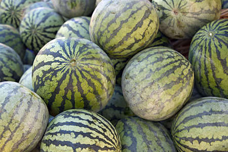 Seedless Water Melon at Local Farmers Marketの写真素材