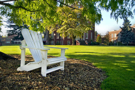 Wooden Deck Chair Under the Tree in Public Parksの写真素材