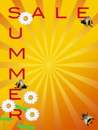 Summer Season Sale Sign with Daisies Flowers and Bumble Bees Illustrationの写真素材