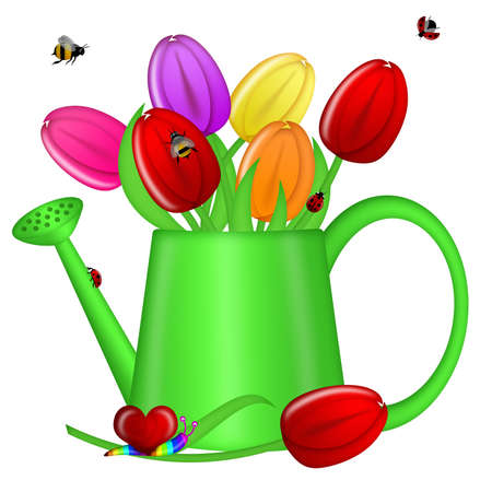 Watering Can with Spring Tulip Flowers Illustrationの写真素材