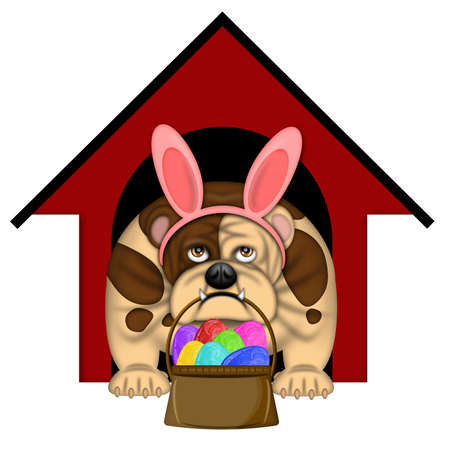 English Bull Dog with Easter Bunny Headband and Egg Basket Illustrationの写真素材