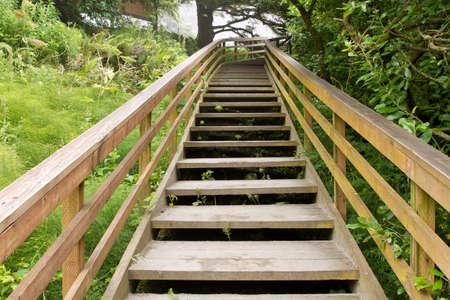 Wooden Stairs at Hiking Trail to the Beachの写真素材