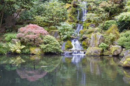 Japanese Garden Koi Pond with Waterfall Maple Trees and Rocksの写真素材