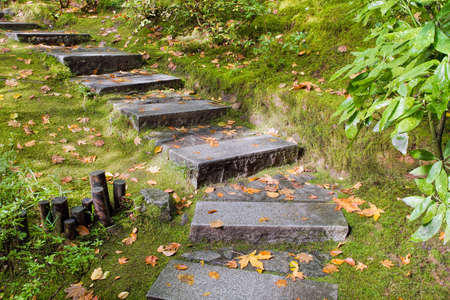 Asian Inspired Japanese Garden Granite Slabs Stone Steps with Moss and Fall Leavesの写真素材