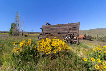 Old Wagon at Columbia Hills State Park in Washington State in Springtimeの写真素材