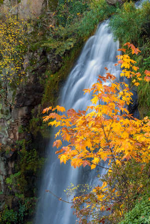 Wah Gwin Gwin Falls at Coumbia River Gorge in Autumnの写真素材