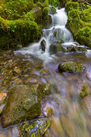 Small waterfalls flowing over rocks and green moss along Wahkeena Creek at Columbia River Gorge in...